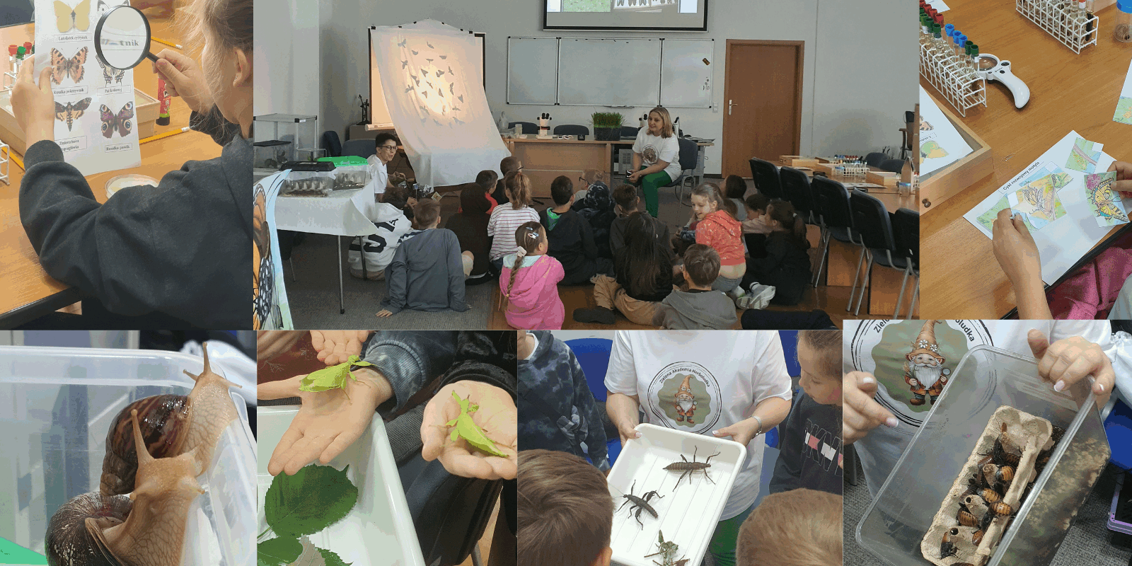 Projekt bez nazwy (1)