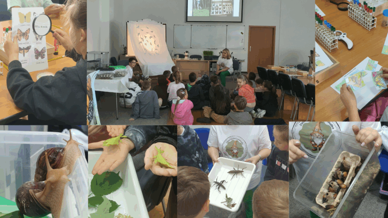 Projekt bez nazwy (1)