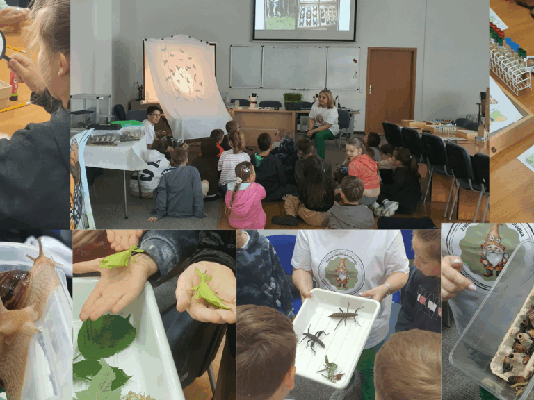 Projekt bez nazwy (1)