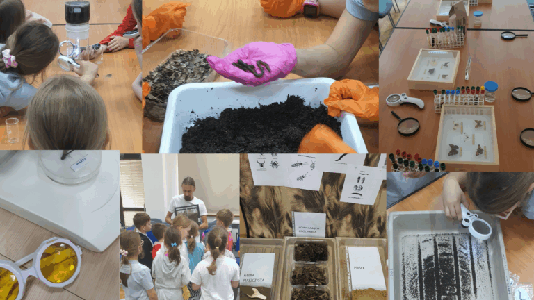 Projekt bez nazwy (2)