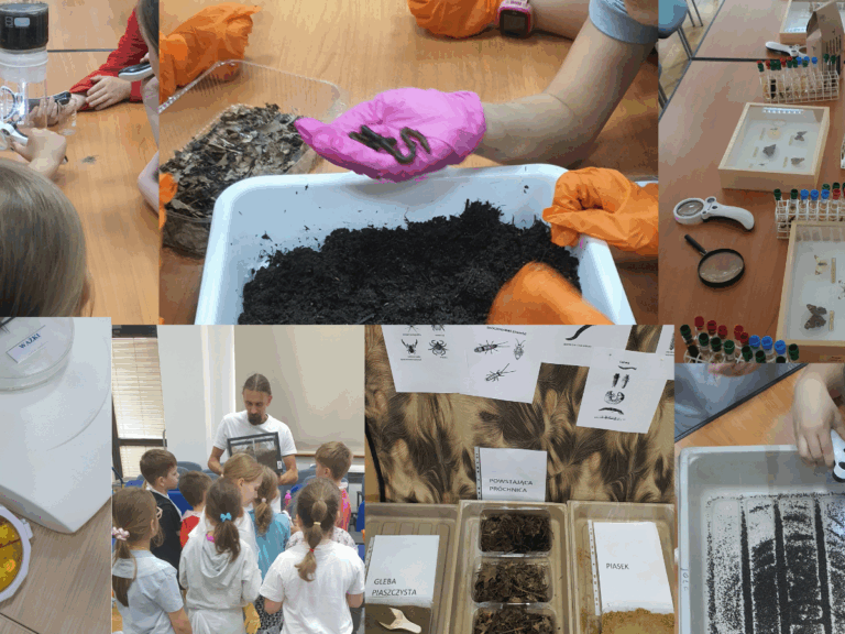 Projekt bez nazwy (2)