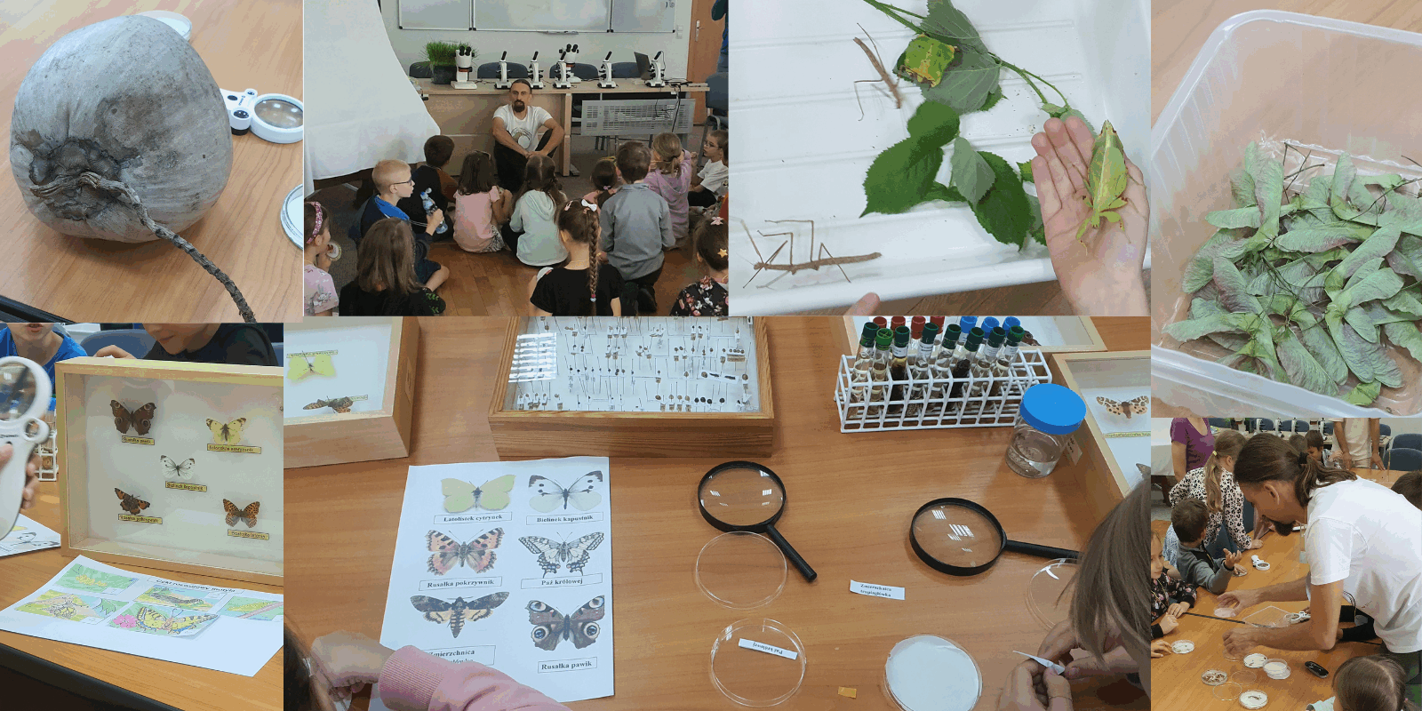 Projekt bez nazwy(2)