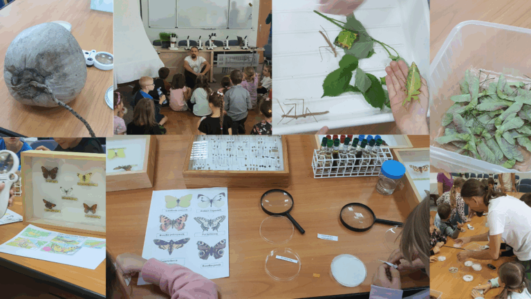 Projekt bez nazwy(2)