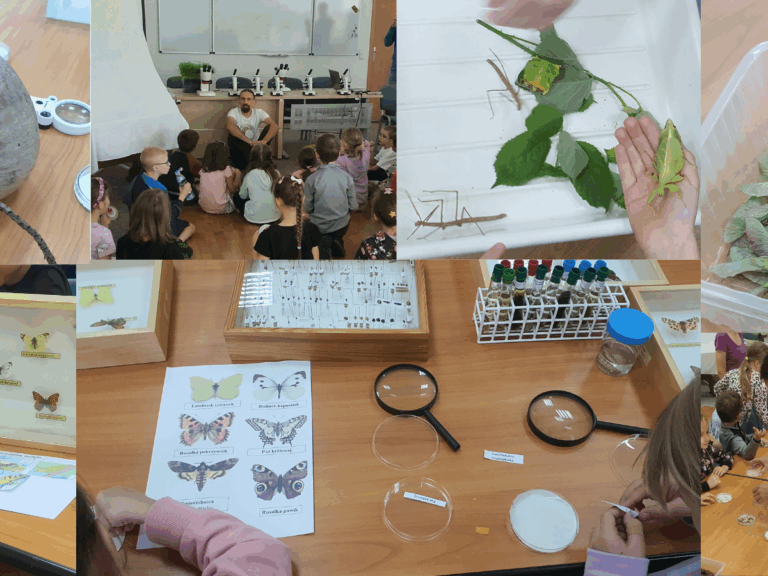 Projekt bez nazwy(2)